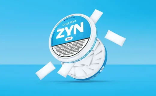 Bustine di nicotina Zyn