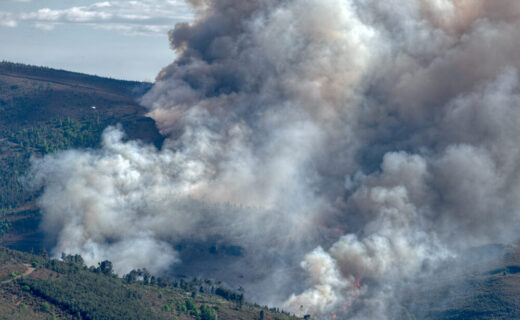 Incendi boschivi in Spagna e Francia