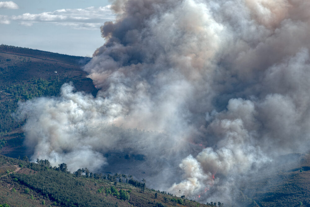 Incendi boschivi in Spagna e Francia