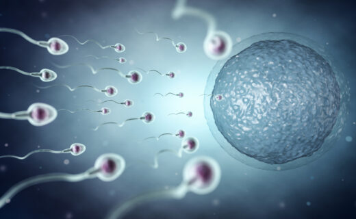 Immagine rappresentativa dello smog e della fertilità maschile