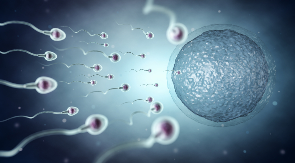 Immagine rappresentativa dello smog e della fertilità maschile