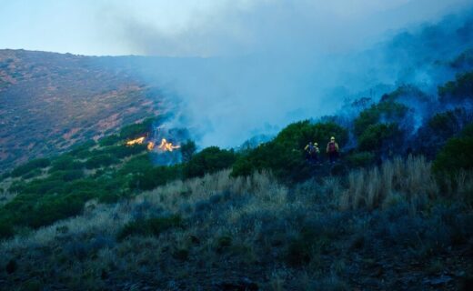 Intervento dei Vigili del Fuoco a Palermo