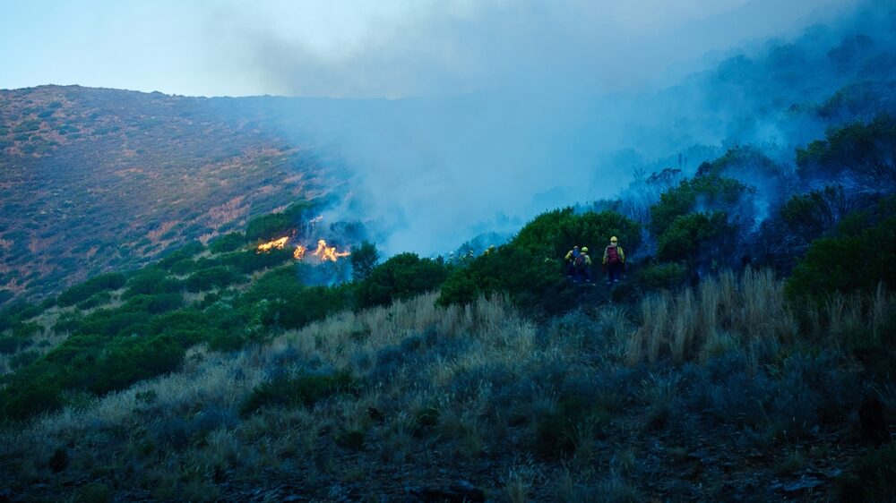 Intervento dei Vigili del Fuoco a Palermo