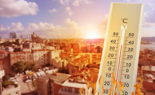 Riforestazione urbana per ridurre le isole di calore