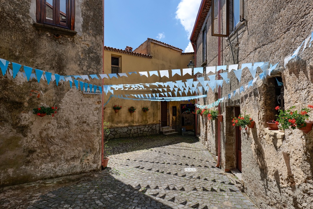 Processione digitale a Bosco