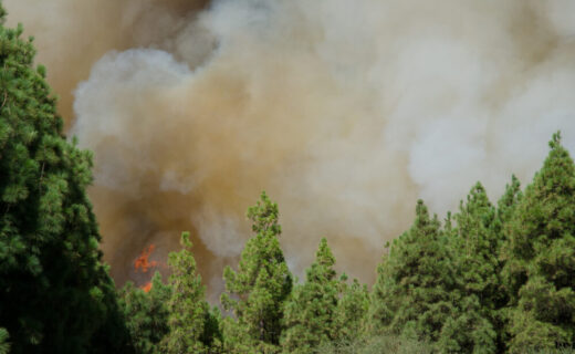 Incendi in Gironda