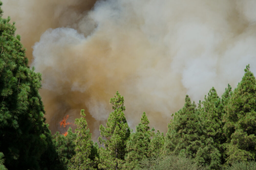 Incendi in Gironda