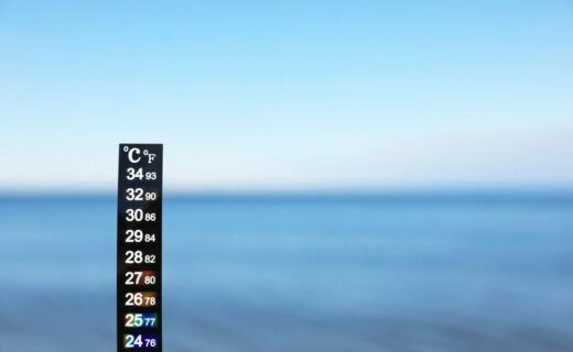 Temperatura media superficiale del mare